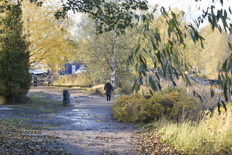 1019_U189845pieni1.jpg