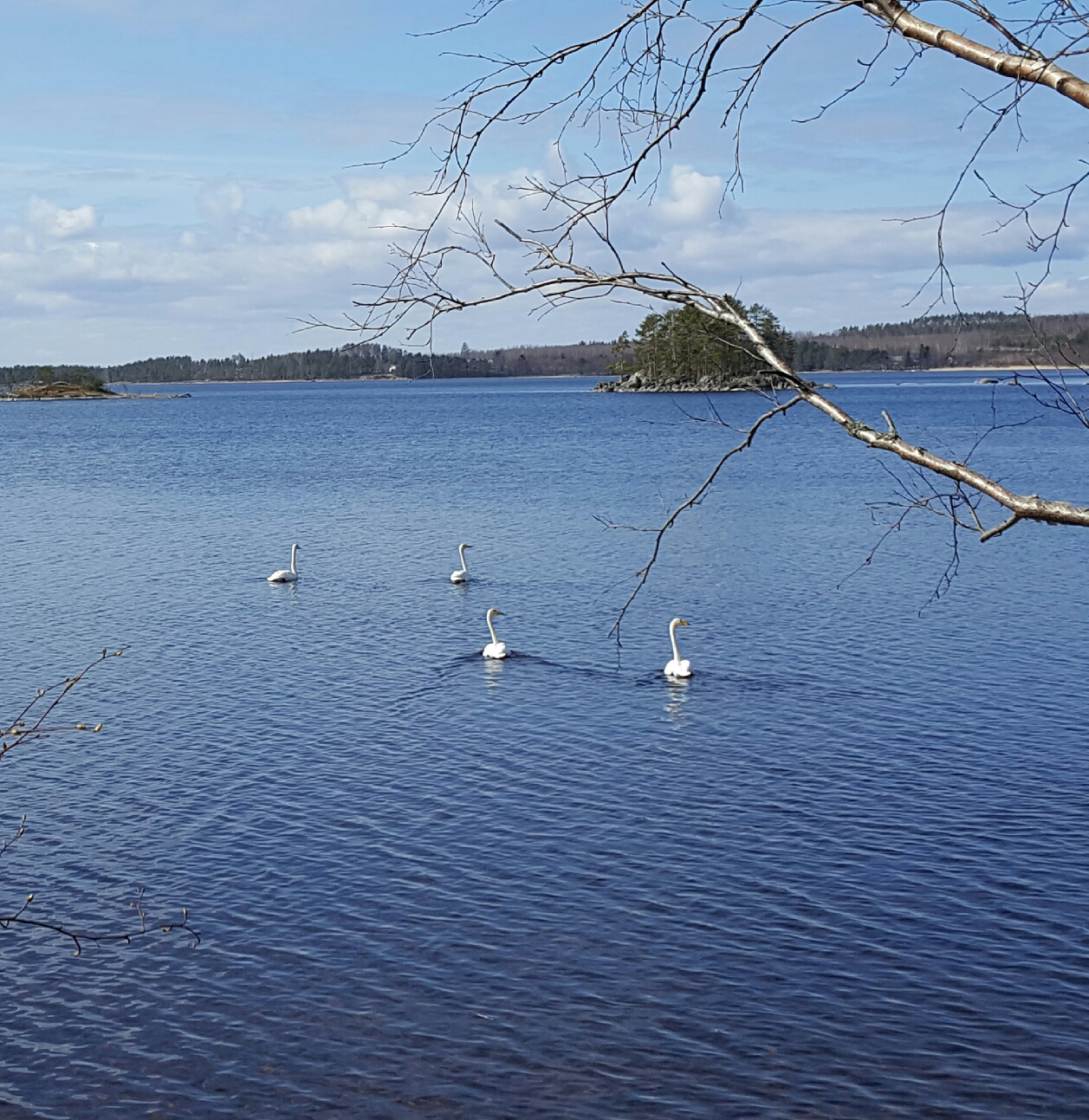20170507_162241.jpg