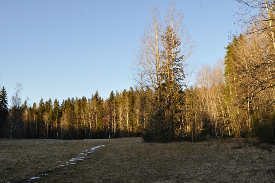 DSC_0841.JPG