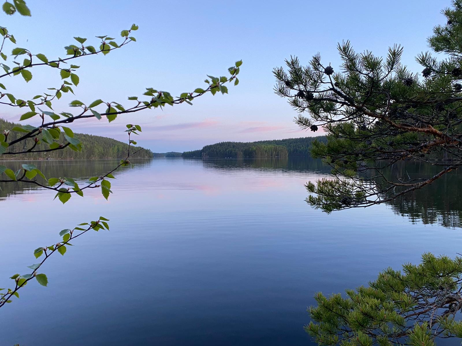 Haukkselkä1.jpg