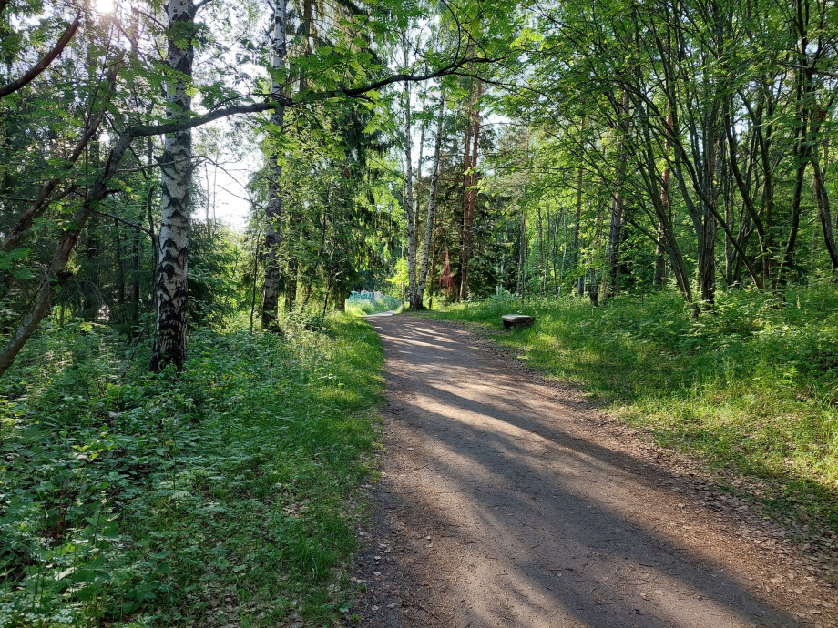 Korkeasaaren_polku_kuva_Kalle_Hellström.jpg