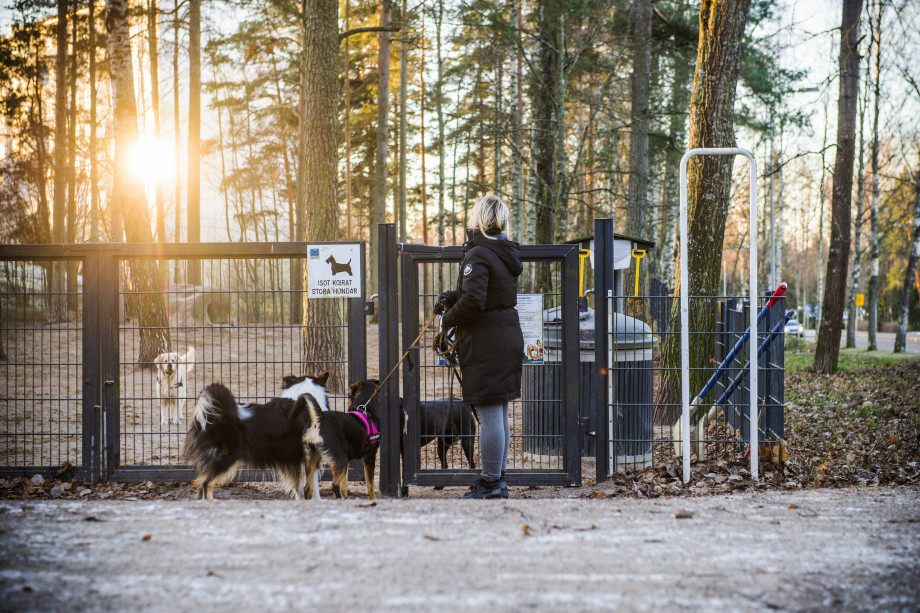koirapuisto-scaled.jpg